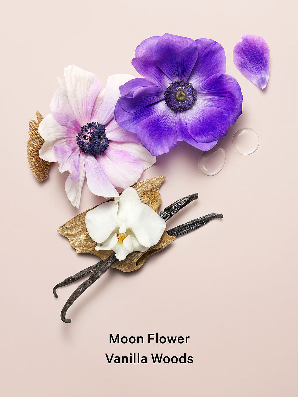 Bruma de fragancia Midnight Blooms